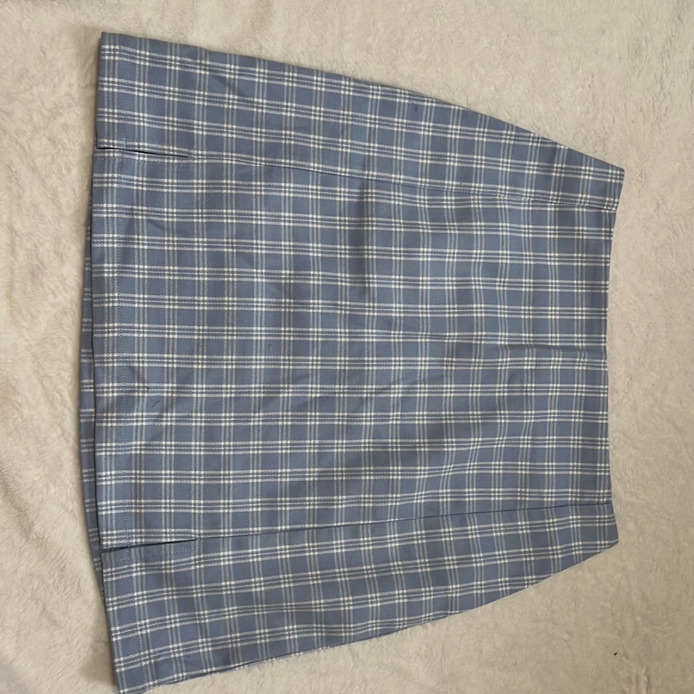 brandy melville skirt (blue)